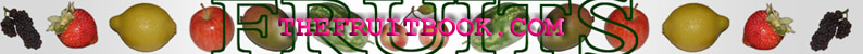 Fruitbook banner